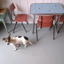 indulge in Falafel and wraps at Finch Café