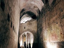 Explore the ruins of the Domus Aurea