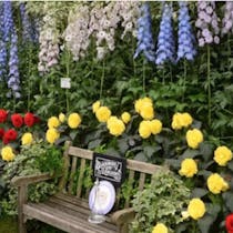 take a trip to THE FLOWER SHOW