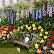 VISIT THE CHELSEA FLOWER SHOW