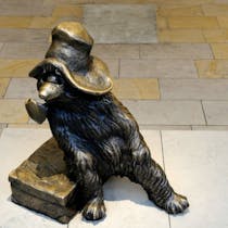 Bear Beloved