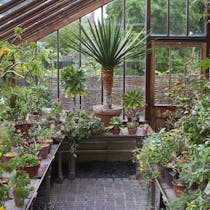 Discover a Secret Garden at Chelsea Physic Garden