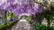 Explore the gardens at Villa Bardini