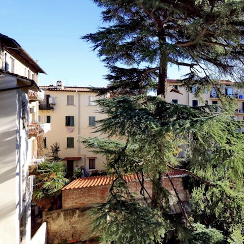 The charming views