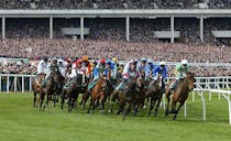Watch the jockeys jump at Cheltenham Racecourse