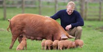 Feed the animals at Cotswold Farm Park