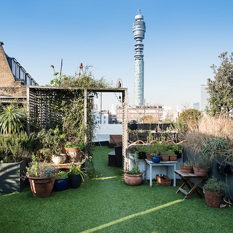 The huge roof terrace