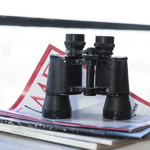 Discovering the city with the Binoculars