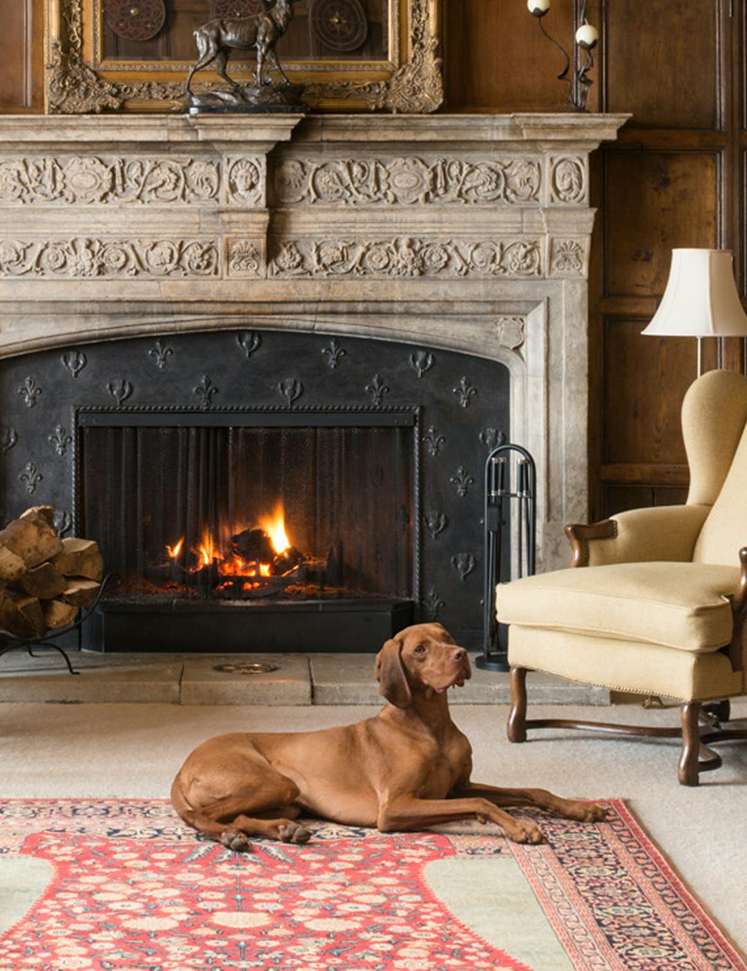 Dog next to fireplace